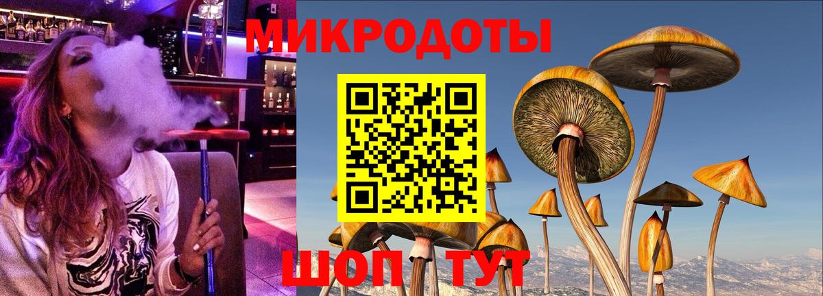 магазин продажи наркотиков  Вход с VPN  Кострома  Псилоцибиновые грибы Psilocybine cubensis 